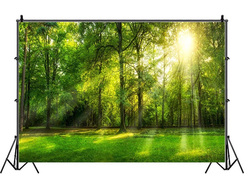 Leowefowa 10x8ft Green Forest Backdrop 10x8ft Summer Tree Sunshine Rays Photography Background Green Grassland Nature Scenery Outdoor Photo Banner for Wedding Portrait Baby Shower Outdoor Party Decor - Image 3